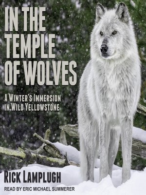 cover image of In the Temple of Wolves